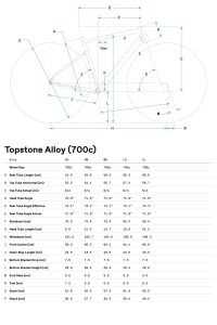 Cannondale Topstone 2 Cues 1x Gravel Yol Bisikleti - Orchid